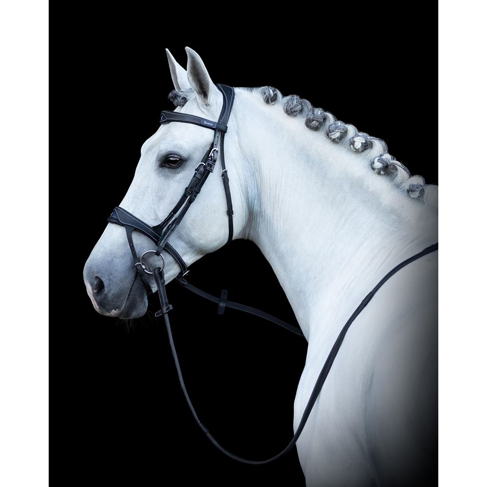 https://www.ikonicsaddlery.com/image?FileId=24249&preset=C_ZOOM