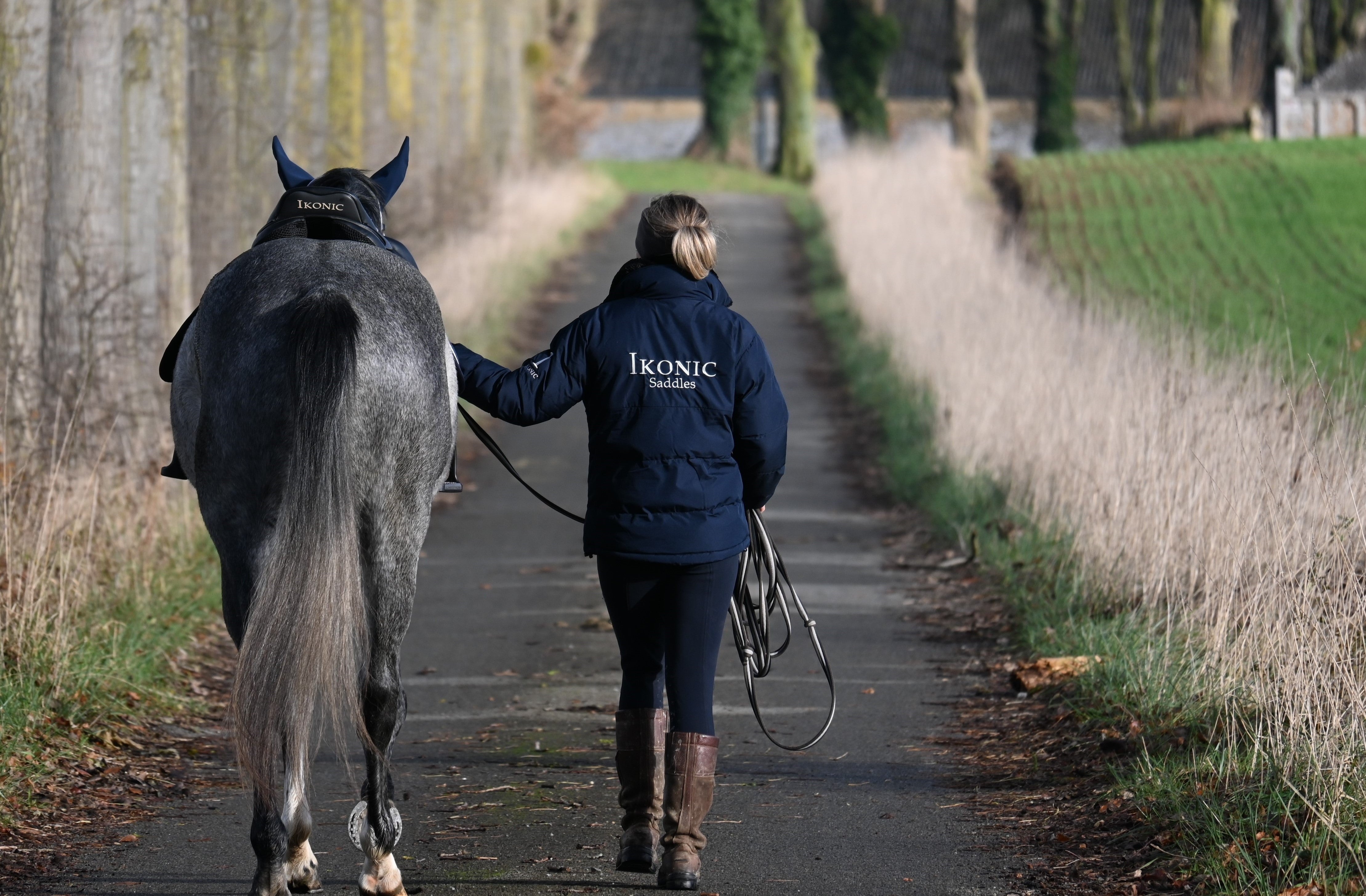 https://www.ikonicsaddlery.com/image?fileId=15321