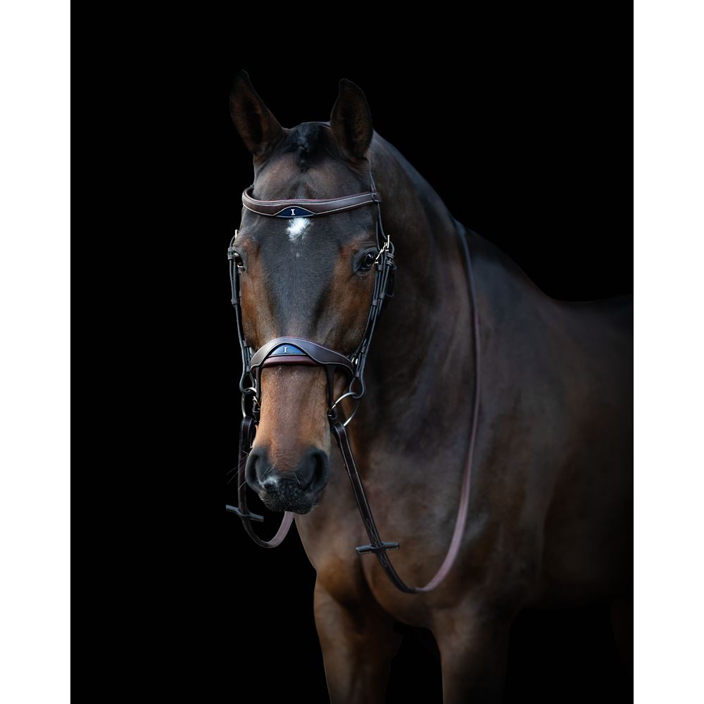 https://www.ikonicsaddlery.com/image?FileId=24246&preset=C_ZOOM