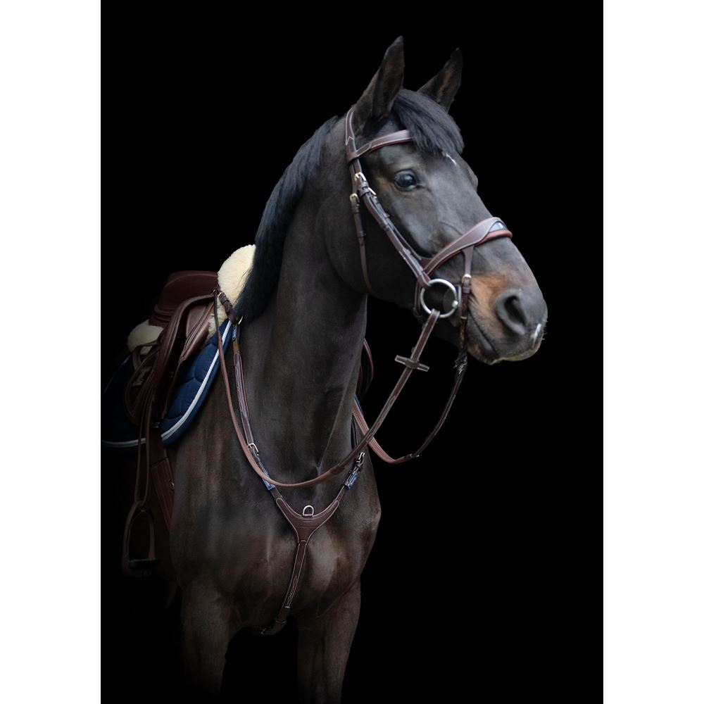 https://www.ikonicsaddlery.com/image?FileId=24289&preset=C_ZOOM