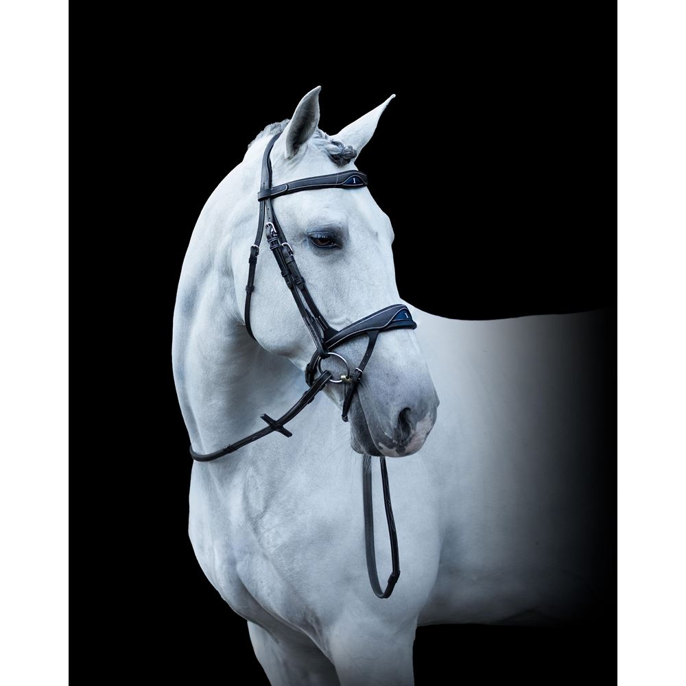 https://www.ikonicsaddlery.com/image?FileId=24248&preset=C_ZOOM