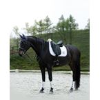 https://www.ikonicsaddlery.com/image?FileId=25576&preset=C_ZOOM_THUMBNAIL