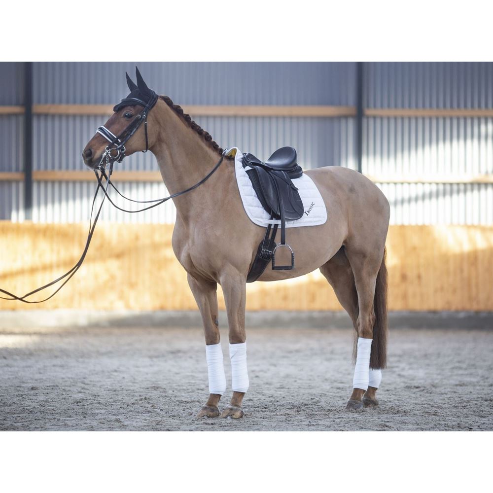 https://www.ikonicsaddlery.com/image?FileId=9443&preset=C_ZOOM