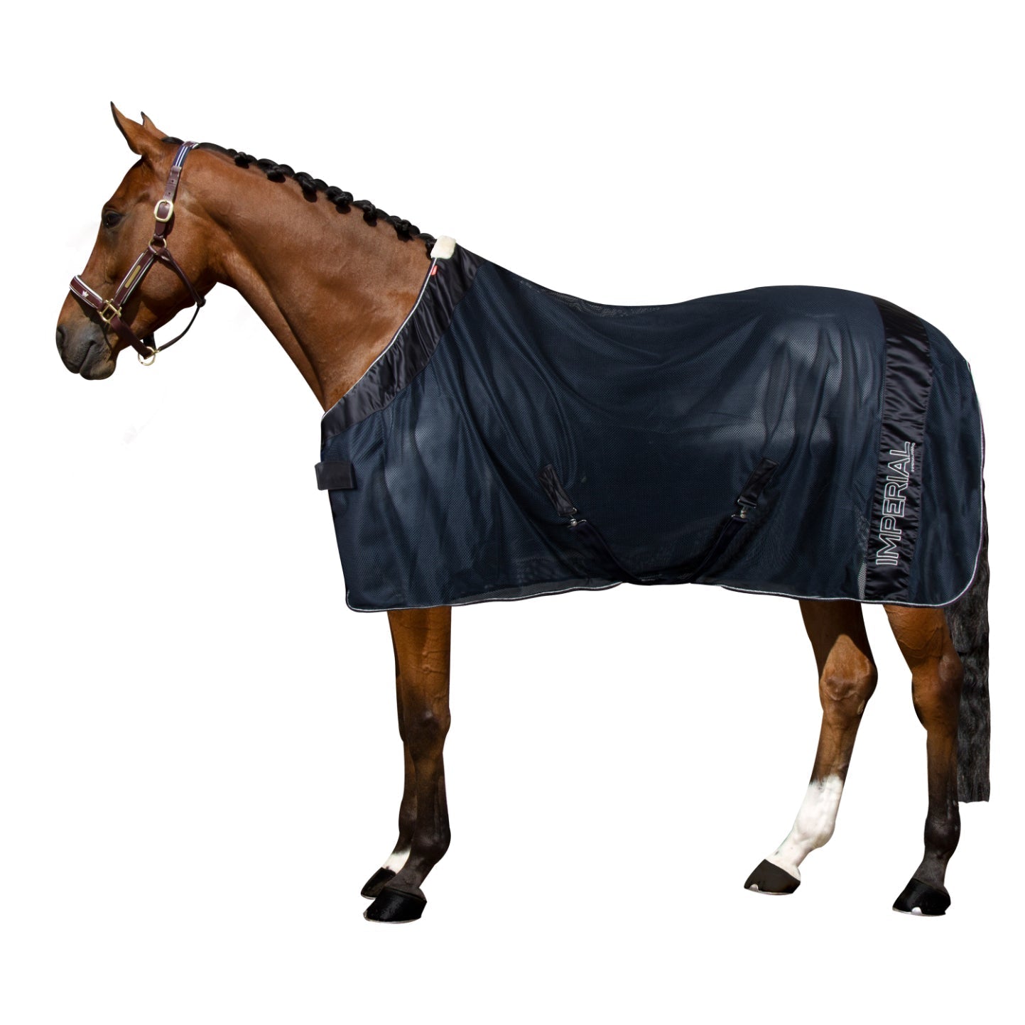 Mesh fly blanket IRHImperial Ambient - Shetlandslycka - Always equine