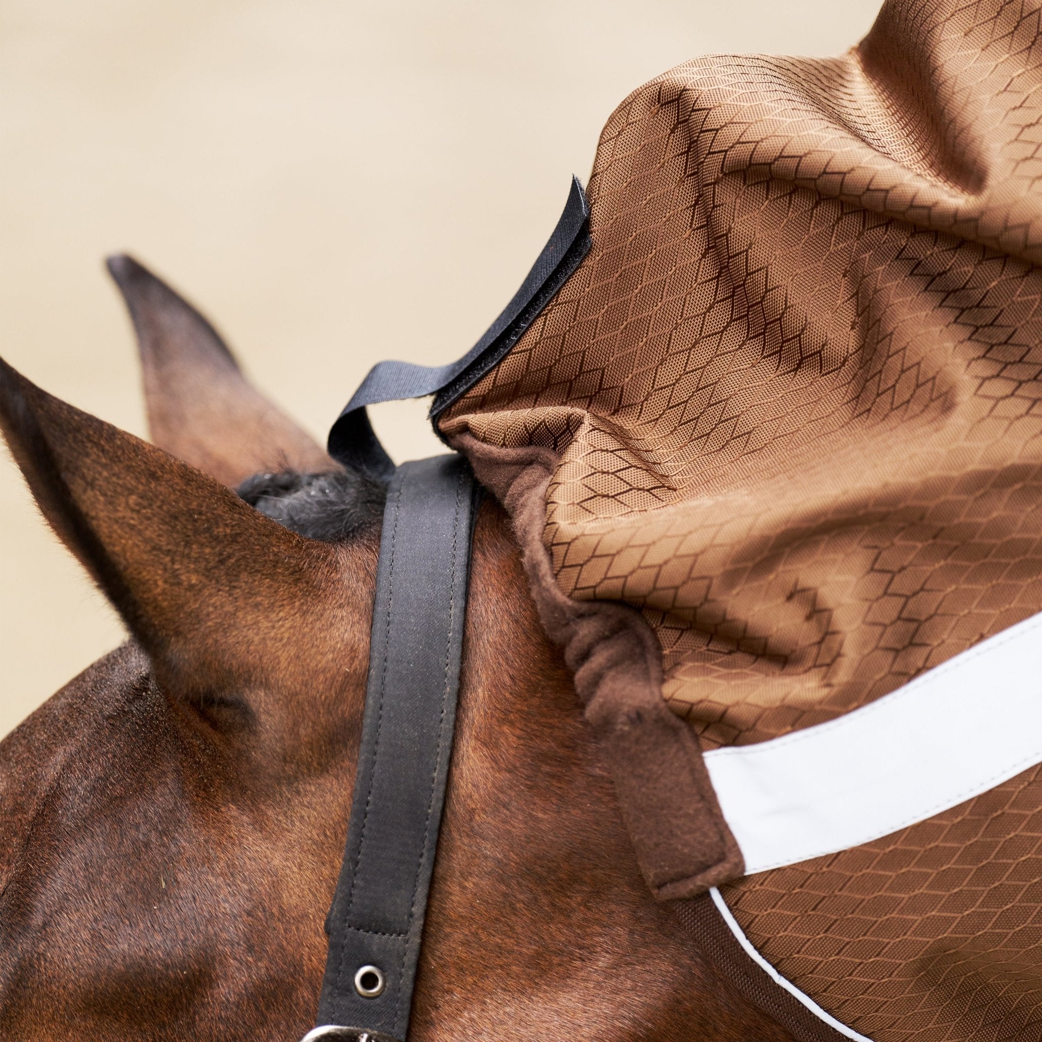 Outdoor blanket IRHSuper - proof 50gr - Shetlandslycka - Always equine