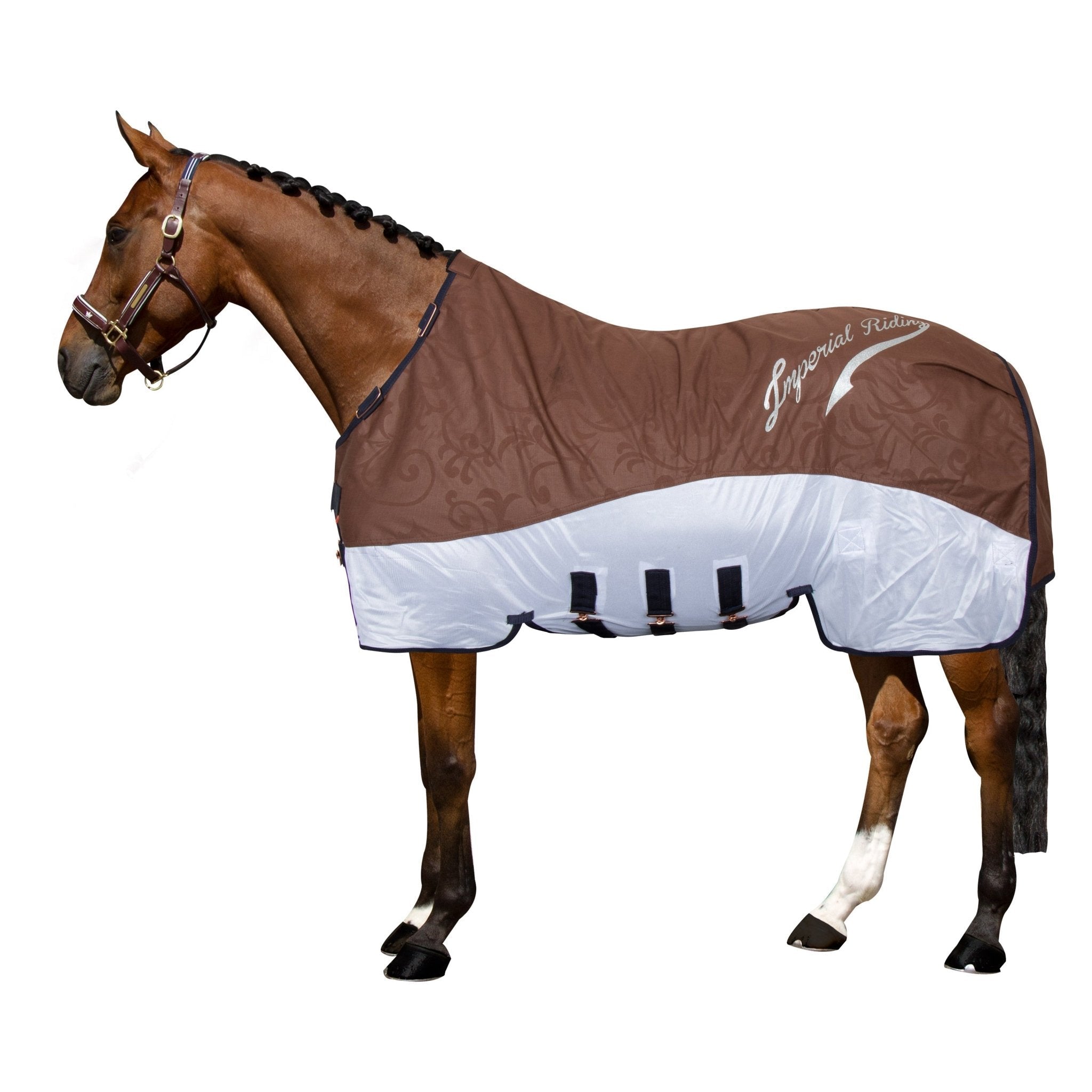 Rain & Fly blanket IRHSuper - dry - Shetlandslycka - Always equine