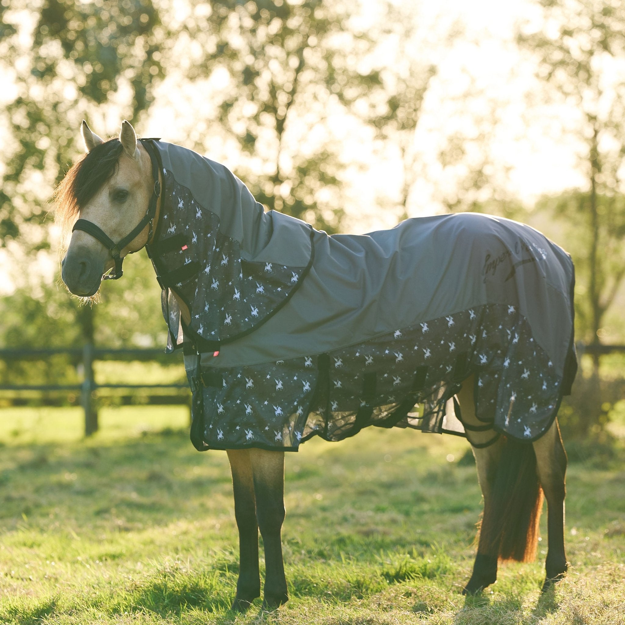 Rain & Fly blanket IRHSuper - dry AOP - Shetlandslycka - Always equine