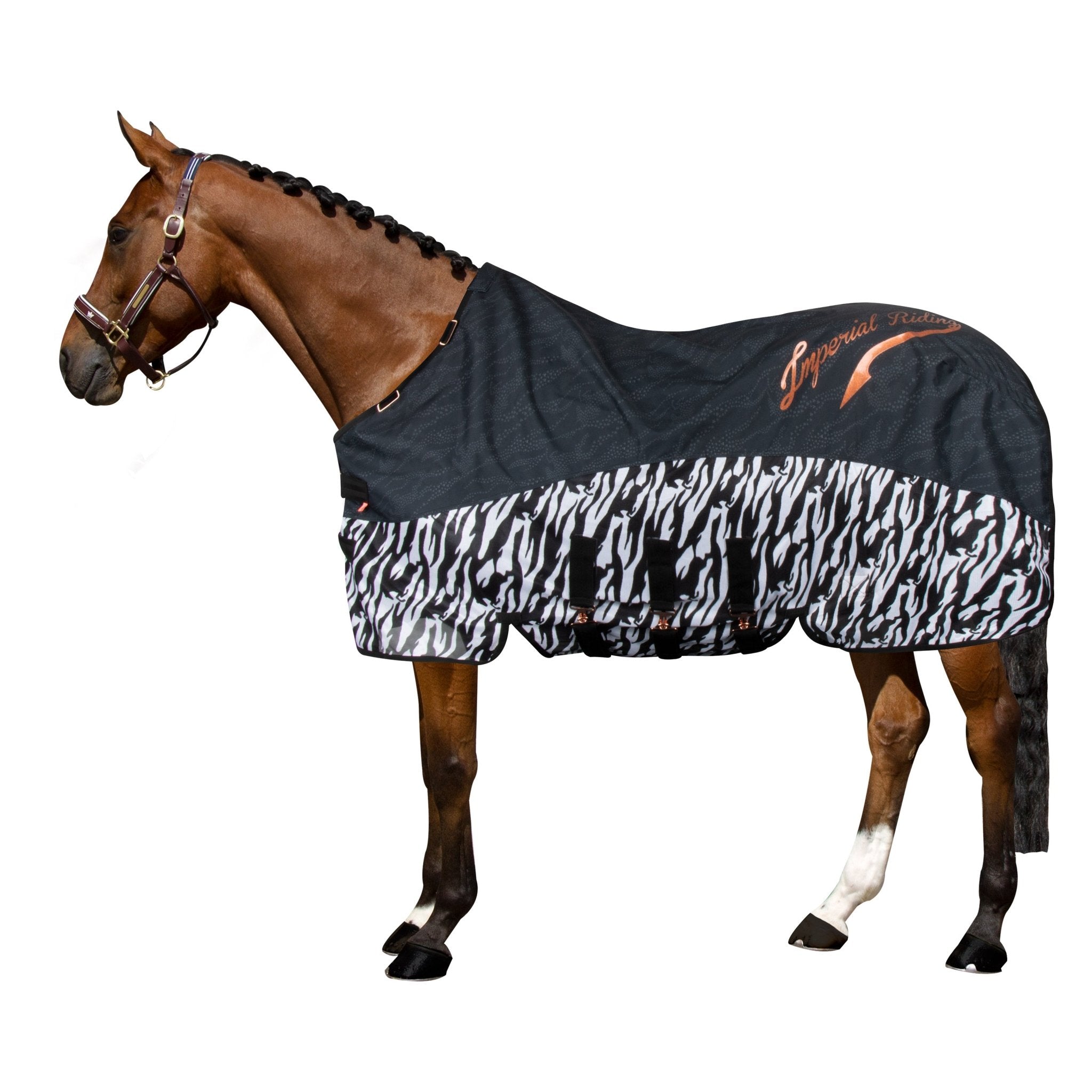 Rain & Fly blanket IRHSuper - dry Carly - Shetlandslycka - Always equine