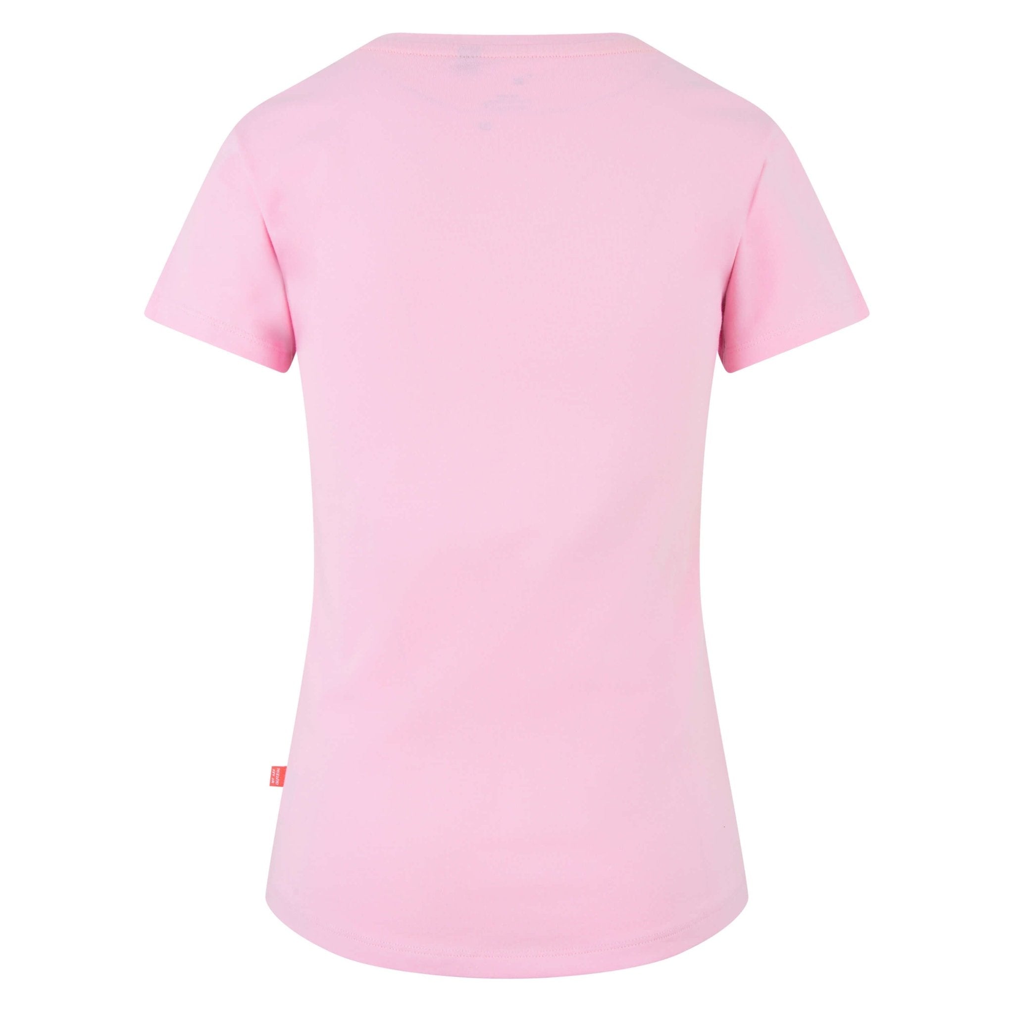 T-shirt I&R - Shetlandslycka - Always equine