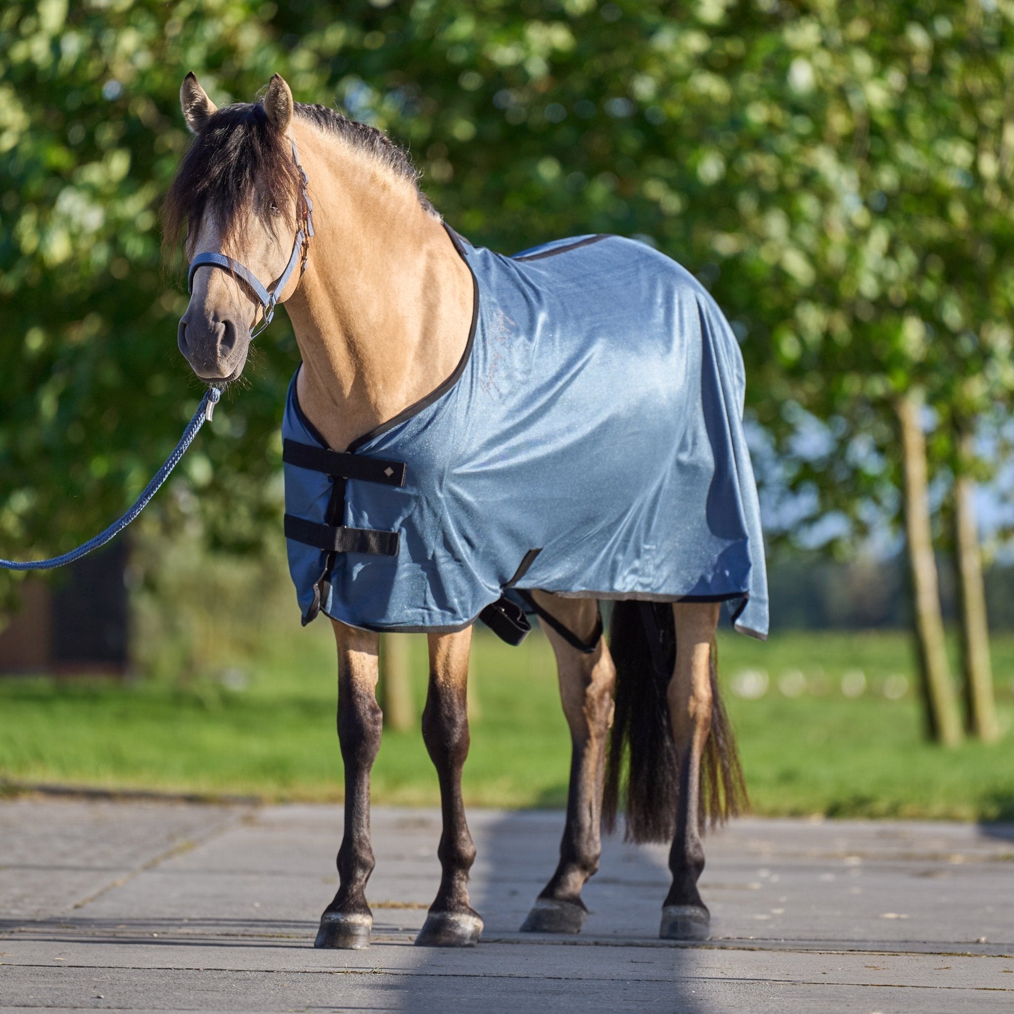Transport blanket IRHMesh - Shetlandslycka - Always equine
