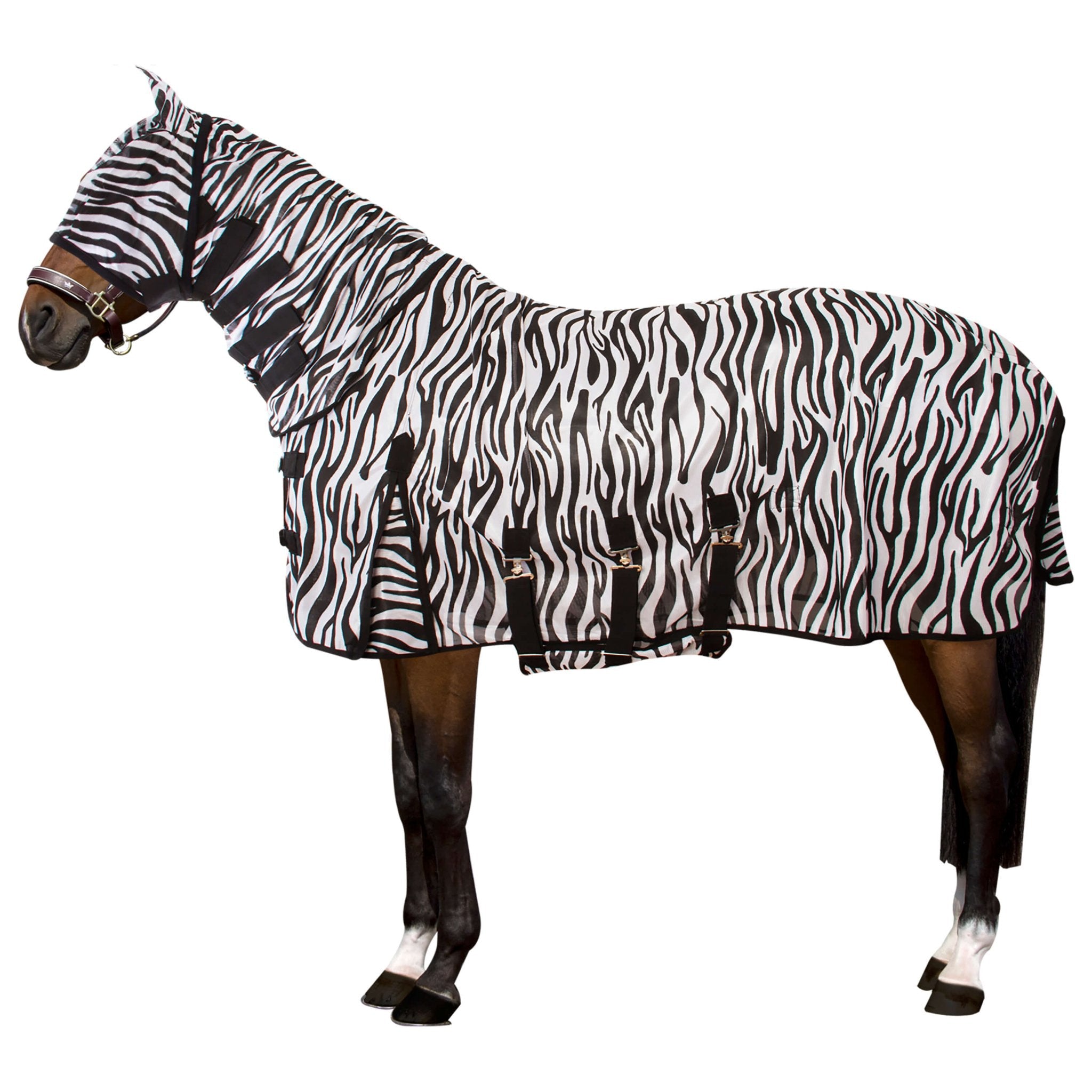 UV/Fly blanket with neck, mask and belly flap ZEB - Shetlandslycka - Always equine