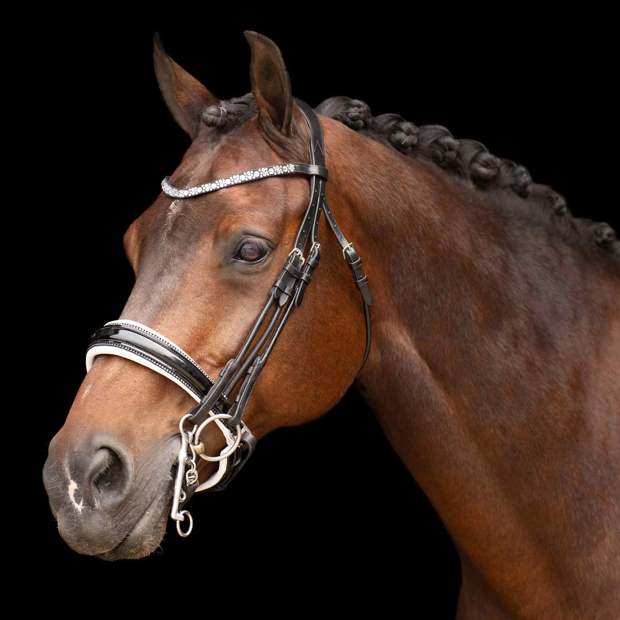 Weymouth bridle IRHOlympia - Shetlandslycka - Always equine