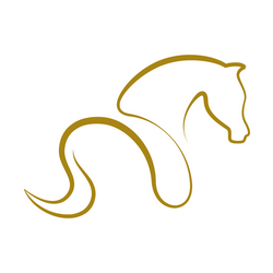Shetlandslycka - Always equine